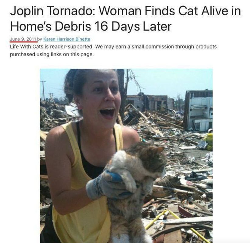 ���- �������� ������������� ����������� � ��������� ���������� �������