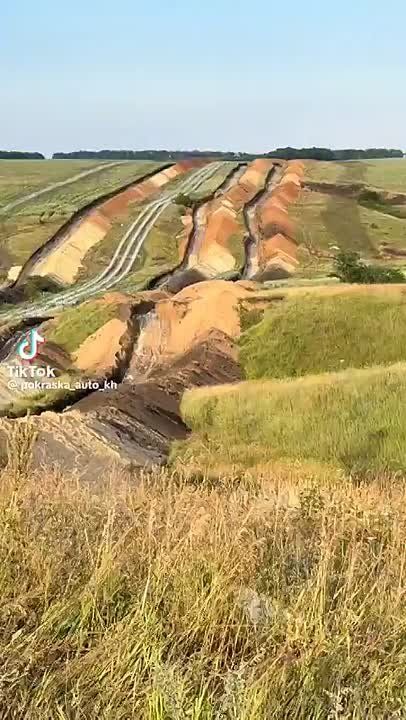   Tik Tok        