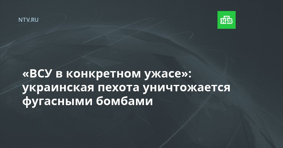   :     