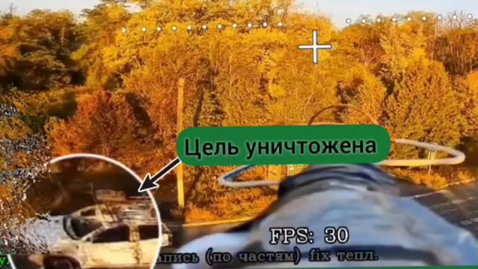   FPV-     -       