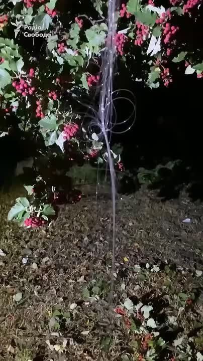  :  ,           