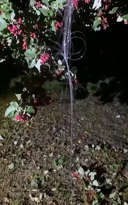         FPV-  