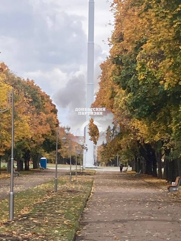    -250           