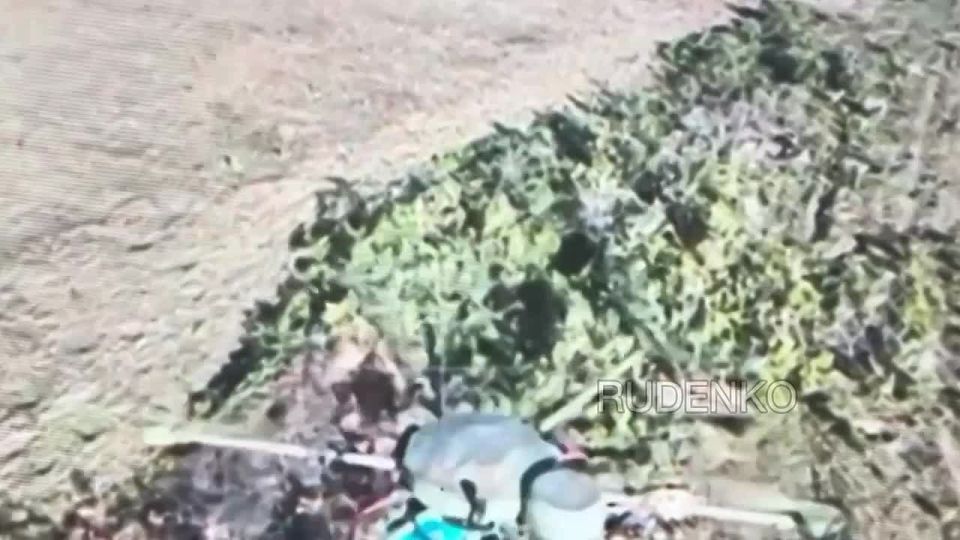 Андрей Руденко: Операторы FPV-дронов 6-й мотострелковой дивизии «Южной» группировки войск сбили два БпЛА R-18 «Баба-Яга» на Краматорско-Дружковском направлении, не дав противнику атаковать российские подразделения и...