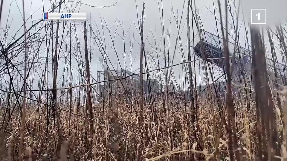 ������ ��� ����� ���������: ���������� ������ ������������ ������