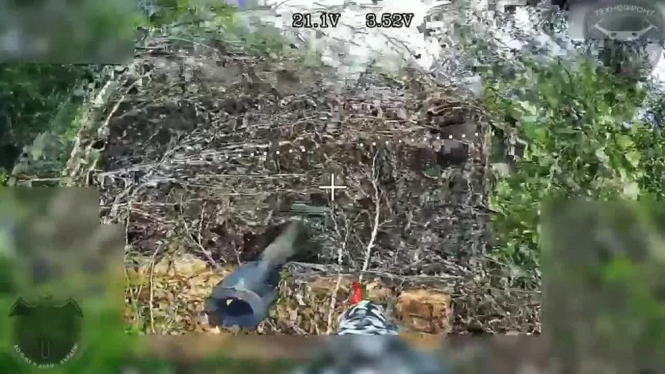 ��������� �������: ������ ������ ���������� �������� ��� � ���������-������������ �����������