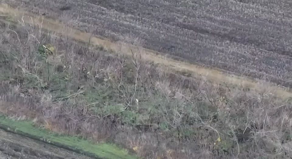 ������� ������: �������� ���������� ����