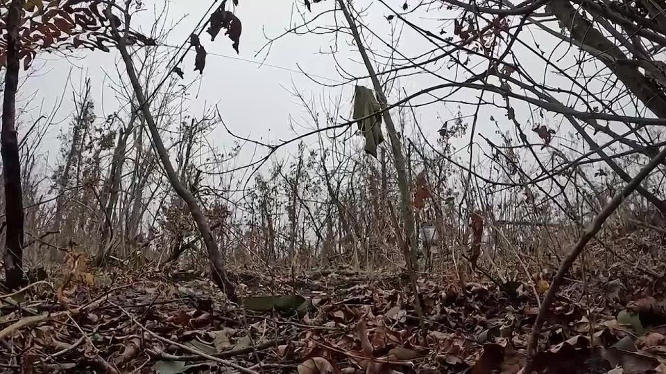 ��� �������� � ��������� �� ���������-������������ �����������