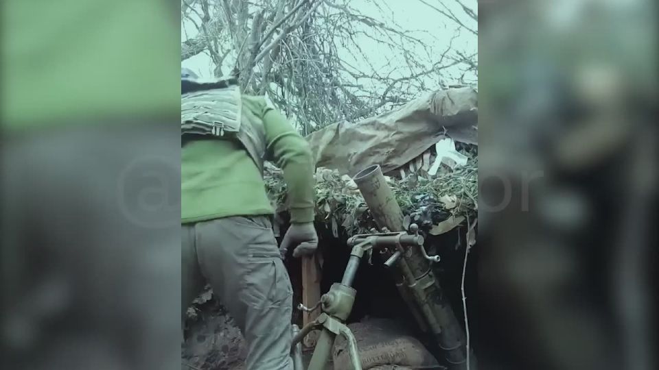 ����� ����������� ������ ��� �� �����������-����������� �����������