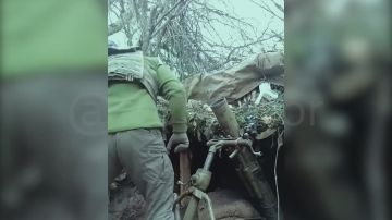 ����� ����������� ������ ��� �� �����������-����������� �����������