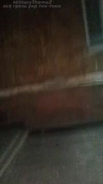 ������� ������ ������� ����� ��������� ���������������� ������� ���������� � �����������