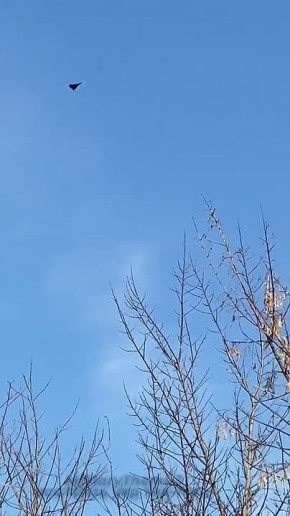 ���������� - ������ ������ �� ������