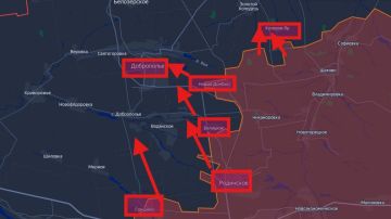 #Сводка о ходе освобождения оккупированной части ДНР на утро 25 февраля