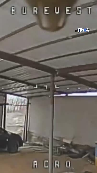 ��������� ���� ����������� ������ ������������ ���������������� ������� �������� � ����������� ���� � ������ �����������