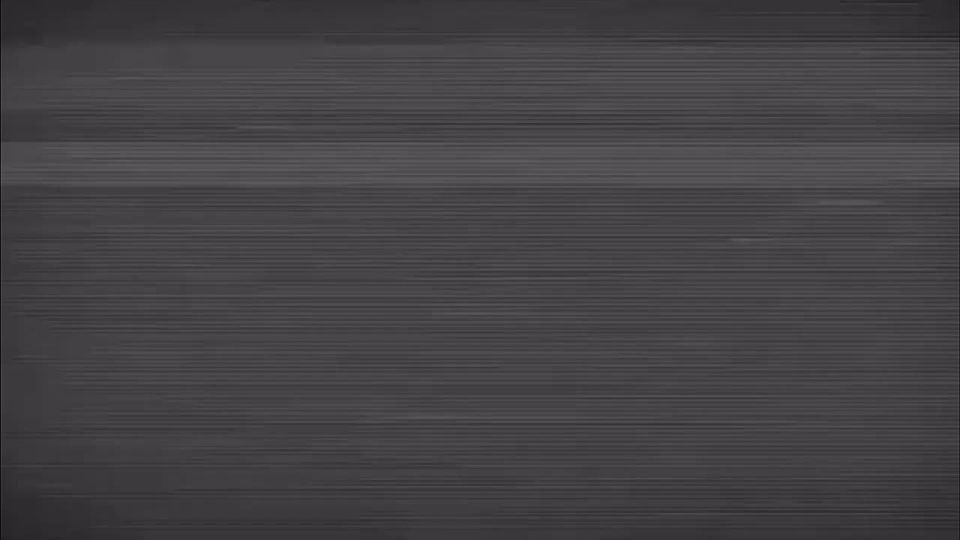 ����������. �����-31� ��������