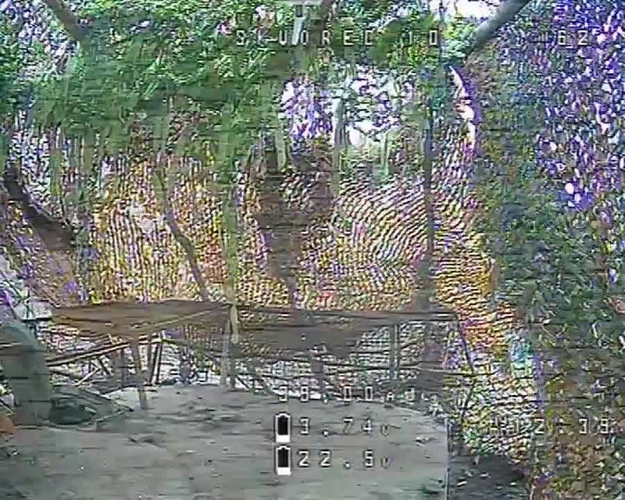 ������� ���������: ������, ��� �� �������� ������, ��� ���������� ������� FPV-������ ���������� ���������������� ������ ����-31 "�����" ����������� ����� �� ������������ �����������