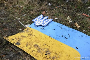 Украинские "Белые ангелы" увозят детей из Славянска, сообщил Марочко