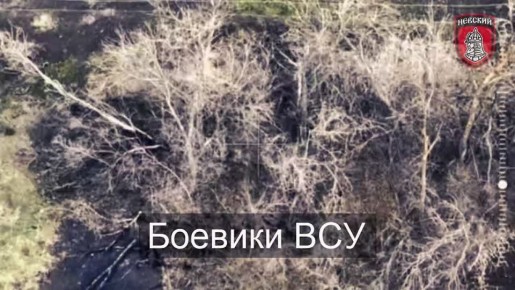 ����� 40 ����� ���������� ����������� ��������� �� �����