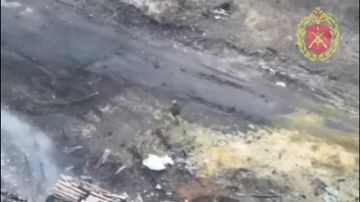 �����������-���������� �����������: ������������ ��������� � �������� �� ������ �������� ������