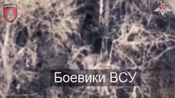 ���������� ��������� ������ ��� �� �����������-����������� �����������