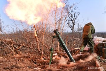 ������������, 21 ������: ����� 80 ���������� ������� ���������� � 2026 ����