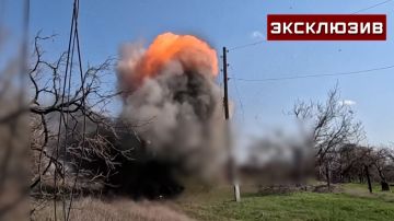 ������-������� ������� ����������� ������ �� ����������