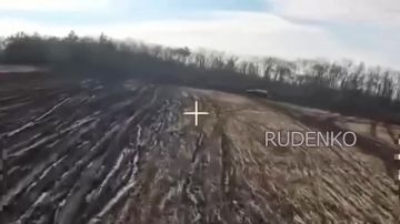 ������ �������: ��������� ���� ���������� ����� ����������� ������ ������������ ���������������� ������� ����� ����������� ����� ���������� ����� � ������ ��� �� ������������ �����������