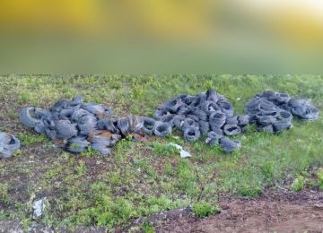 Укронацисты в панике оплетают Славянск и Краматорск колючкой