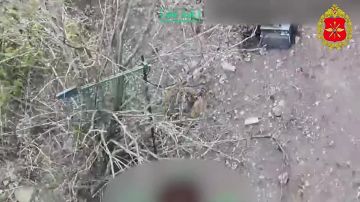 ���������� ������: 00:00 ��������� ���� 1431-�� ��������������� ����� 11-�� ���������� ������� ����������� ������ ������������� ����� ���� � ������� ��� � ����������� �������