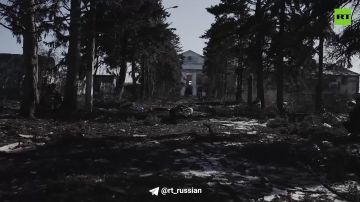 ���������: ���������� ����