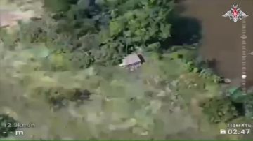 �� �� �������� 10 ����������������� ����������, 2 ������ ���������� ���� � ������������ ������ � ������� ������� � ����� ����� �������� ��������������