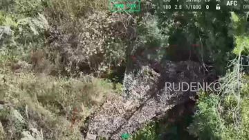������ �������: ������������ ������ � ��������� ���� ����� ����������� ����� ���������� ������� � ����� ����� ��� � ������������ ������