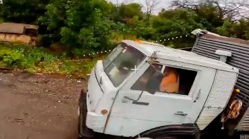������������-��������� ���������� ����� �������� � ������������ ������