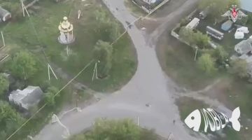 �� �� ��������� ������������ �������� ������: ��� ������� ������� ��������������� ���� ��� �� ������ ��������