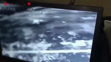 ��� ������: �����������-����������� �����������