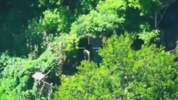 ������� ���������: �� ���������������������� ����������� ���� "�����" ����������� ����� ������� � ������������� ���� ���������� ������� ���