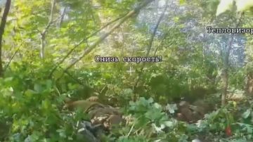 ������� ���������: � ������������ ������ ��������� FPV������ ������ ����������� ����� ������� �������� �����, ������������ ����� ���� ���