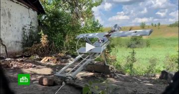Российские FPV-дроны сорвали снабжение ВСУ на Краматорском направлении
