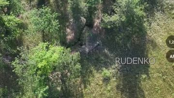 ������ �������: ��������� ������������� ����� ����������� ������ ������ ��� ���������� ������ ���������� ���� ��� �� �����������-����������� �����������