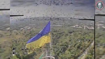 Армия России уже начала снимать флаги Украины в Краматорске