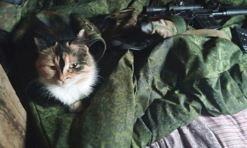 Закончился понедельник. Чем 24 августа запомнится читателям "Украина.ру"?