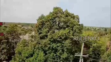 ������ �������: ��������� ����� ����������� ������ ����� ����������� ����� ��������� ������������� �������� ��� � ��������� ������� ���������-������������ �����������