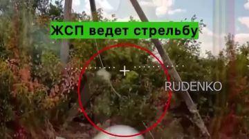 ������ �������: ����������� ������� ��������� ����������� �������������� � ������ ����������� �� ������������ �����������, ������� ����������� ������ 4-� ��������� �������������� ������� ������ ����������� ������� �...