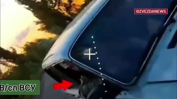 ��� ���� � ��� ����������� ��� ������ ���� ��������� � ��������� � �������������