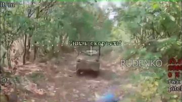 ������ �������: ����� ������ ������ �� ������������ ��������