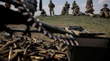«Солдат у ВСУ нет. В стрелковые бои они вступать боятся»: Стешин рассказал, что на самом деле происходит под Славянском и Краматорском