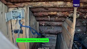 ��������� ���� "�����" ���������� ����� ���������� ������� ��� ��� ������������, �������� � �� ��