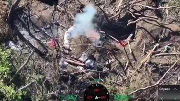 ��� ������: �����������-����������� �����������