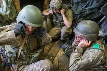 Военблогер Рожин: У ВСУ ухудшилось положение в районе Малой Токмачки