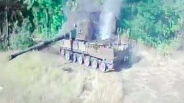 Артиллеристы и дроноводы сожгли самоходку Krab в Краматорском районе